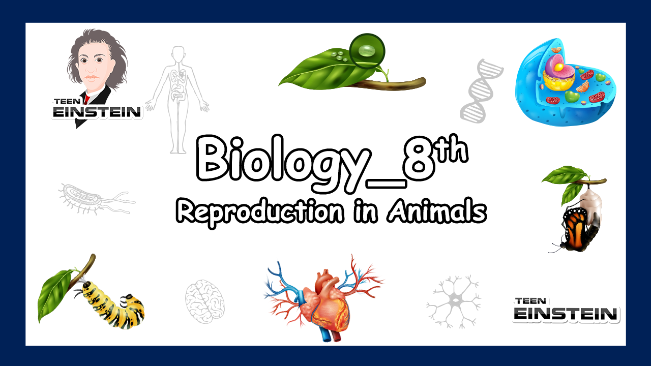 Reproduction in Animals Asexual reproduction, questions
